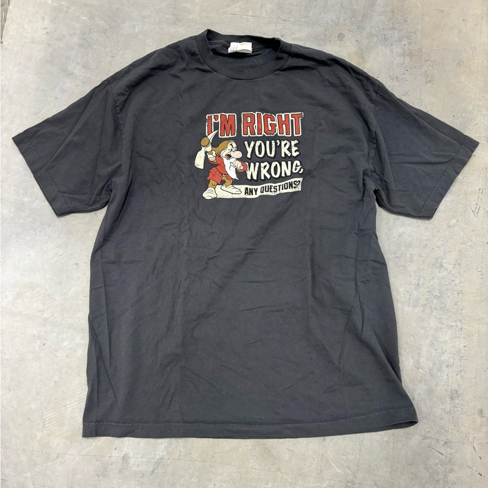 Vtg 1990s Disney Grumpy "I'm Right‎ You're Wrong, Any Questions?" men's xl